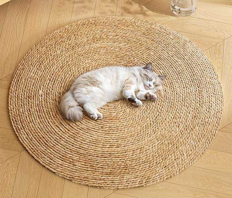 愛犬の爪を守る犬・猫兼用爪とぎマット20選