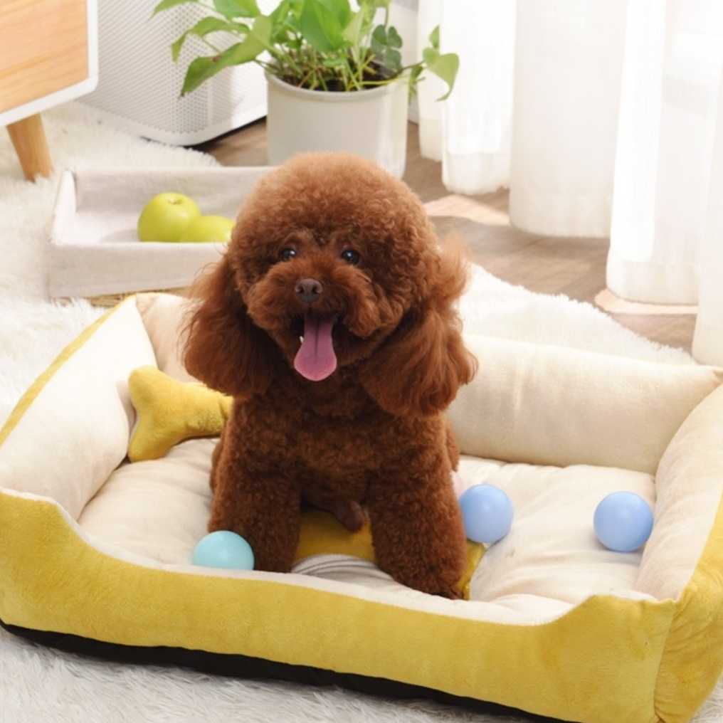 愛犬がお漏らししても安心！洗えるペット用マットおすすめ5選