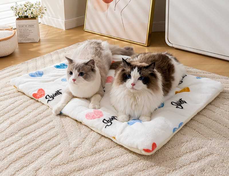 猫の飛び降り時も安心！衝撃吸収マット5選