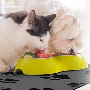 ペットマット 犬猫兼用 肉球柄給水給餌台用マット