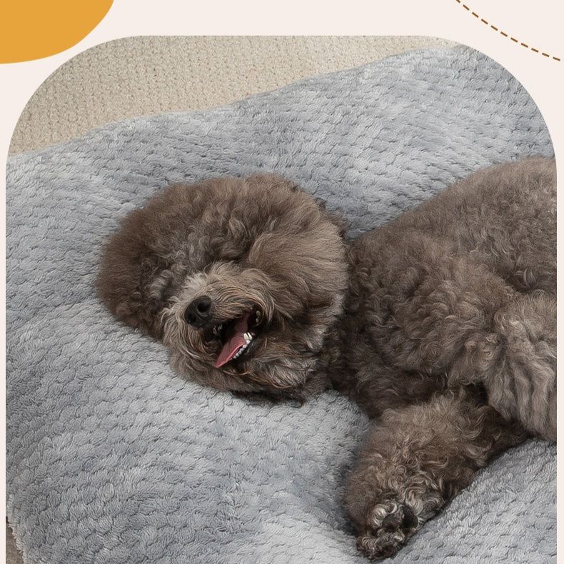 ペットマット 犬用 ふわふわ包み込む大判キルティングマット