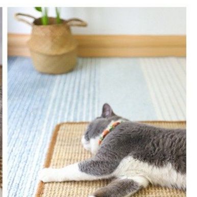 ペットマット 天然素材の爪とぎ機能付き涼感