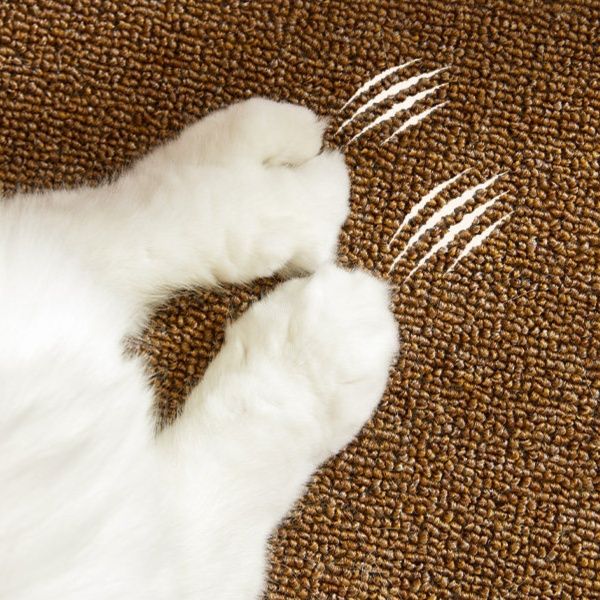 ペットマット 巨大霸猫用多機能耐摩耗