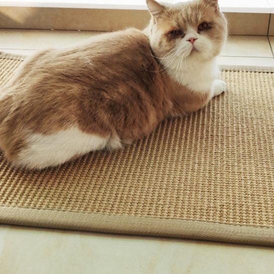 ペットマット 天然素材の爪とぎ機能付き猫用