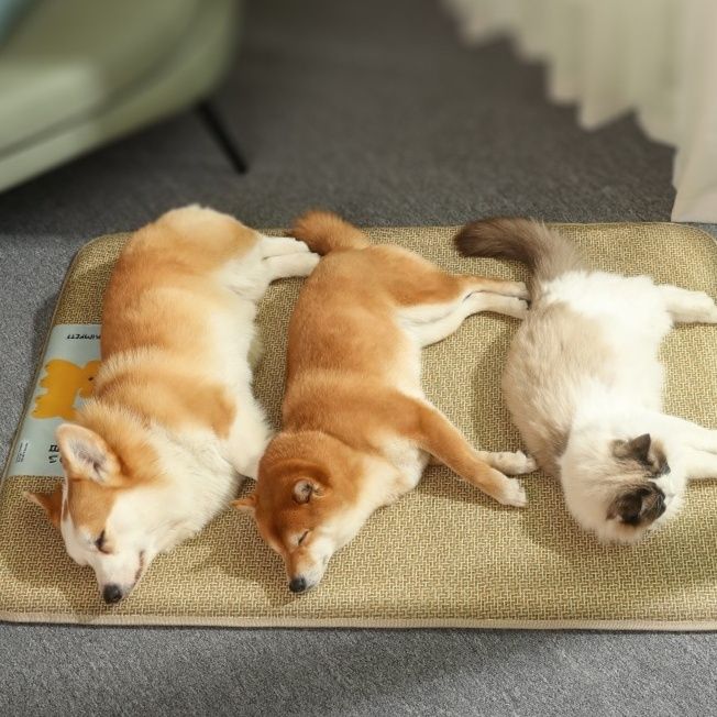 ペットマット 抜け毛が付きにくい緻密編み犬猫兼用