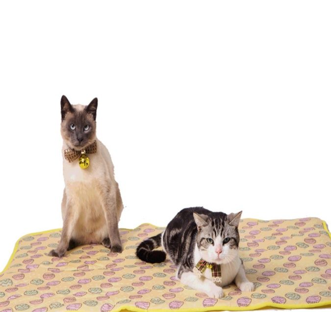  柑橘とねこ柄の涼感ひんやりペットマット