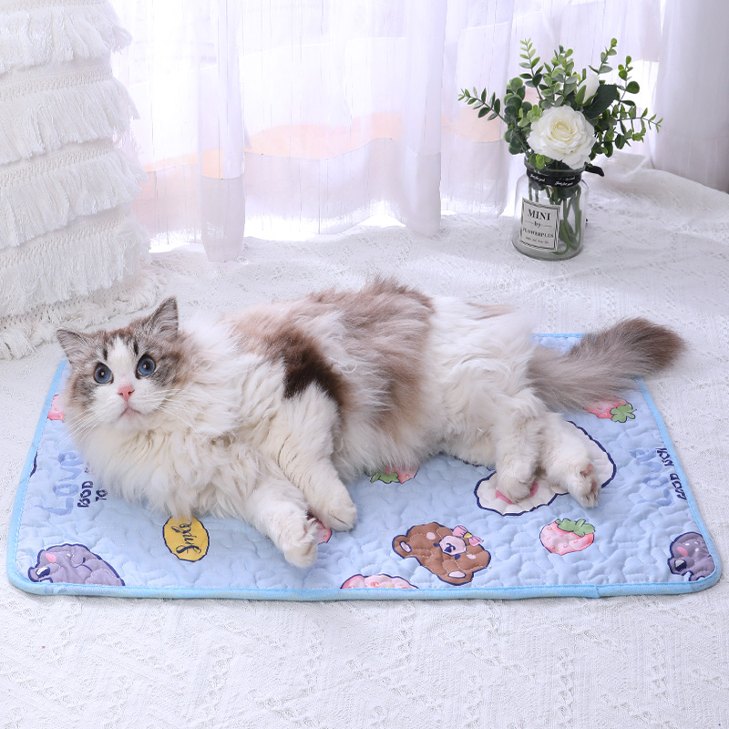 https://fulmo-img-server.com/mofuhug/1c6c667e-95f4-442c-a4bc-f95c15fa1272.jpg