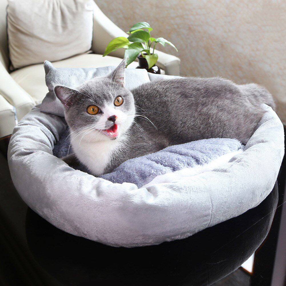 https://fulmo-img-server.com/mofuhug/2fb9337d-2e94-4912-a778-609e6f42578a.jpg