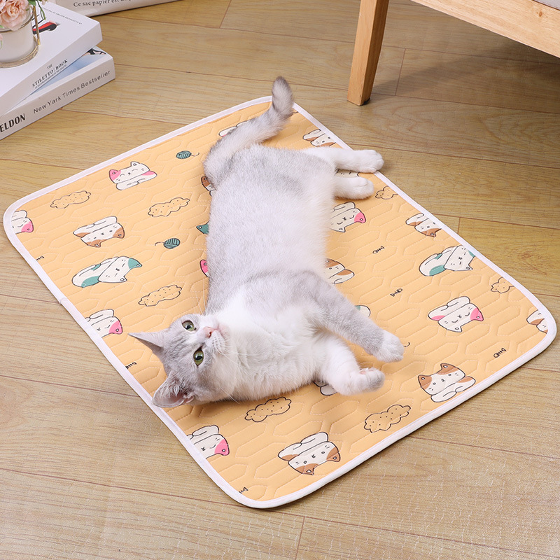 https://fulmo-img-server.com/mofuhug/3affedbd-cb06-4ce6-adfa-2300ccac853b.jpg
