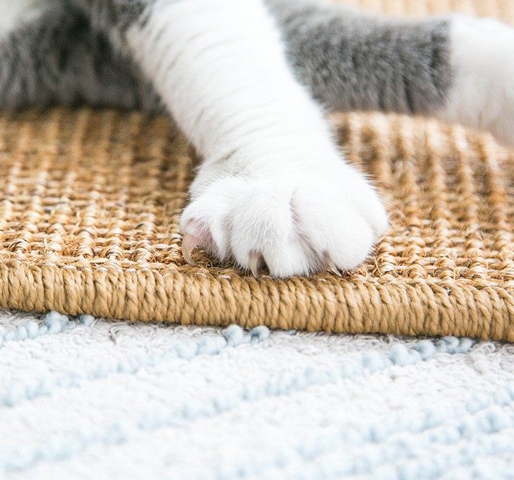 ペットマット 天然素材の爪とぎ機能付き涼感