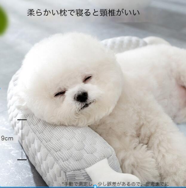https://fulmo-img-server.com/mofuhug/8ab20a44-0d96-4d8f-b168-104d7876b92c.jpg