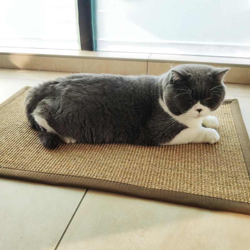 ペットマット 天然素材の爪とぎ機能付き猫用