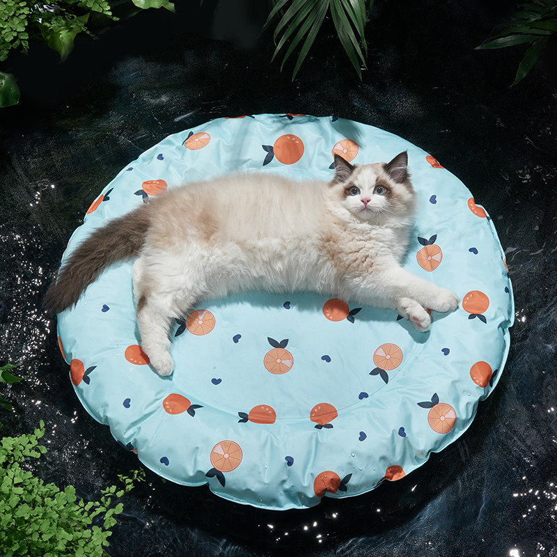 ペットマット 果物柄ふんわり丸型くつろぎ猫用クッションマット