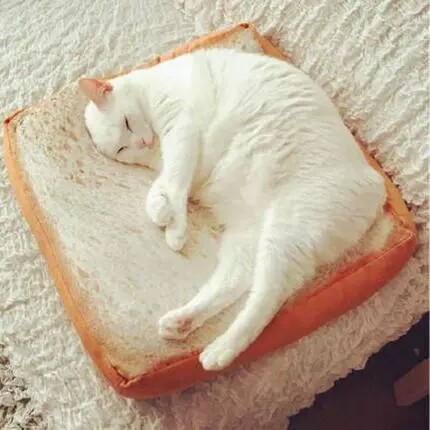 ペットマット 食パン型ふわふわ猫用くつろぎラグマット