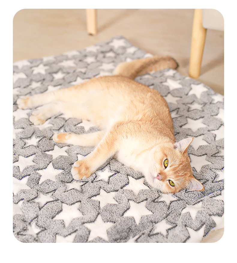 ペットマット 星空おやすみ猫ラグマット