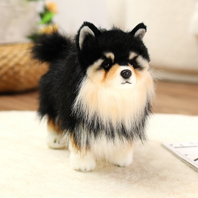 犬 リアル再現ポメラニアンぬいぐるみ立ち姿モデル