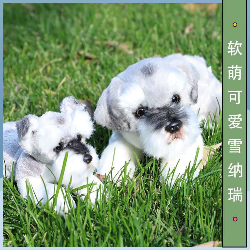 犬 ぬいぐるみ もふもふシュナウザーの友達