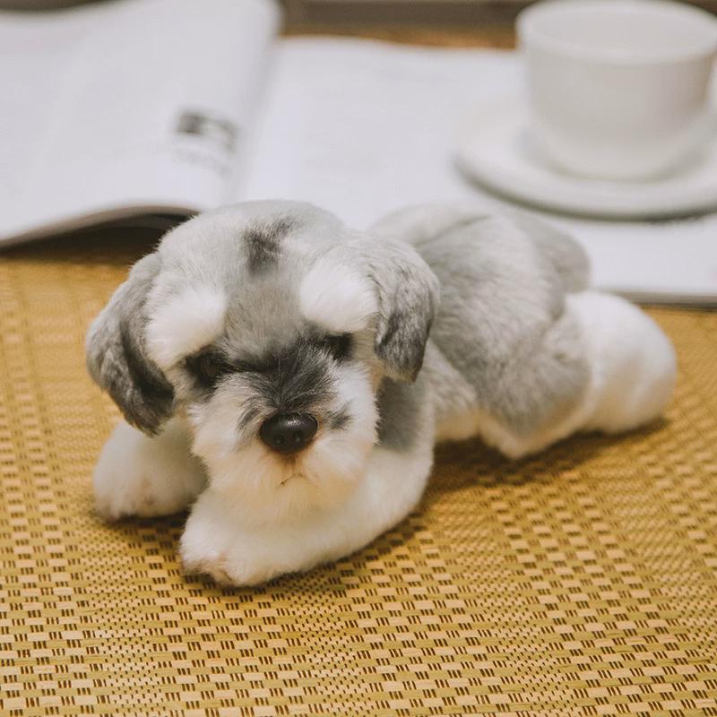 犬 ぬいぐるみ もふもふシュナウザーの仲間たち