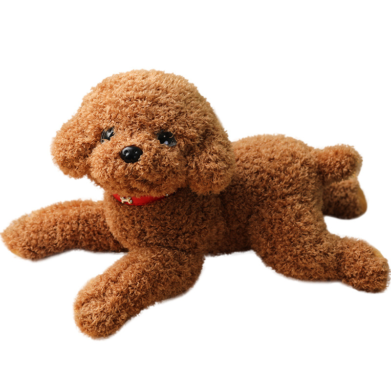 https://fulmo-img-server.com/mohumohudog/0ca74c85-6a0f-4a61-850d-d3fe15f1f478.jpg