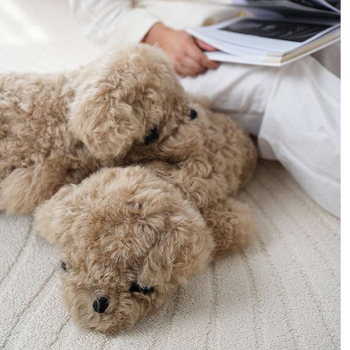 犬 ぬいぐるみ もふもふトイプードル抱きぐるみ