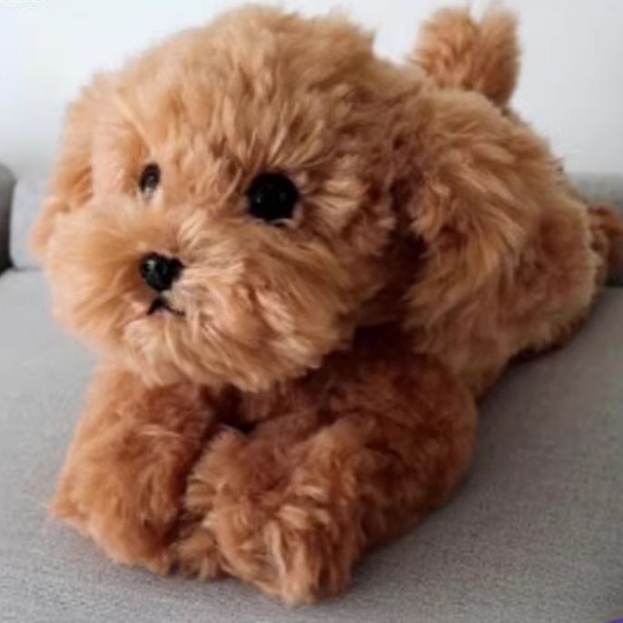 犬 ぬいぐるみ ふわもこプードルの夢うさぎ