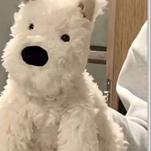 犬 ぬいぐるみ もふもふシュナウザーのお友達