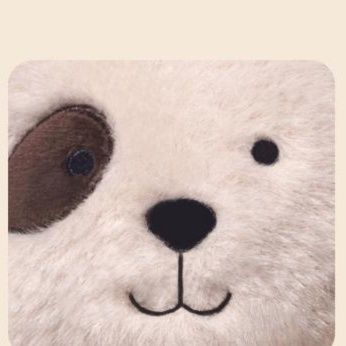 犬 ぬいぐるみ おめでとう！パーティーわんちゃん