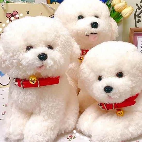 犬 ぬいぐるみ もふもふ癒しのプードル君