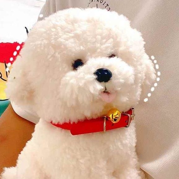 犬 ぬいぐるみ もふもふ癒しのプードル君