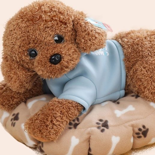 犬 ぬいぐるみ ふわもこトイプードルちゃん
