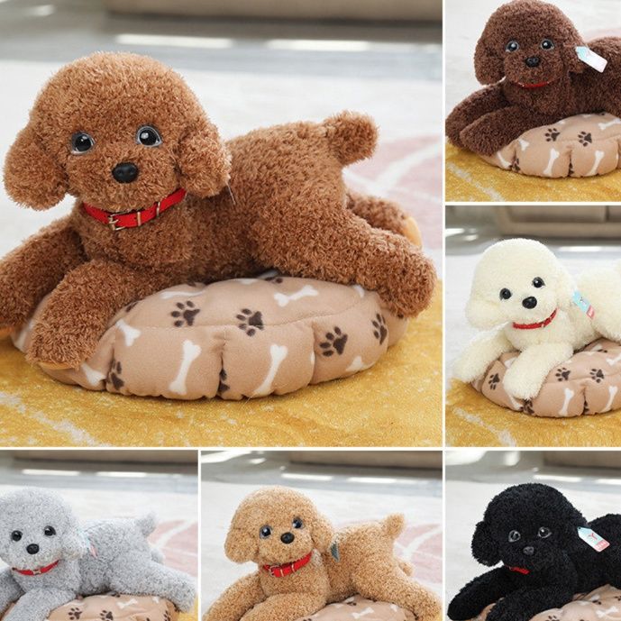 犬 ぬいぐるみ ふわもこトイプードルちゃん