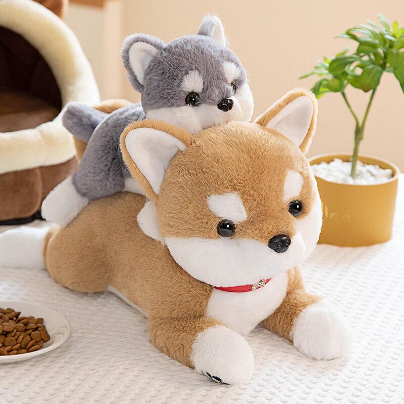 犬 ぬいぐるみ もふもふ豆柴ぬいぐるみ ベル付き首輪
