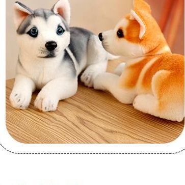 犬 ぬいぐるみ 愛らしい表情の柴犬座りポーズぬいぐるみ