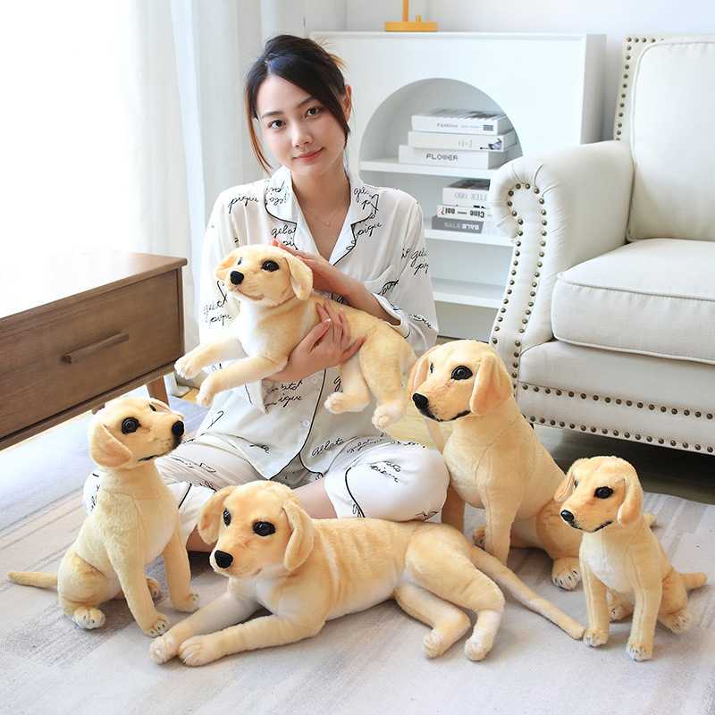 犬の留守番ぬいぐるみで一人の時間も安心！心の支えになるおすすめ5選