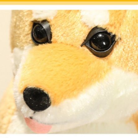 https://fulmo-img-server.com/mohumohudog/1760402841335_earqvwxl_xugjxc78.jpeg