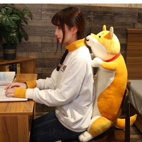 https://fulmo-img-server.com/mohumohudog/1760403524743_7vj9nxlf_2tntjkmw.jpeg