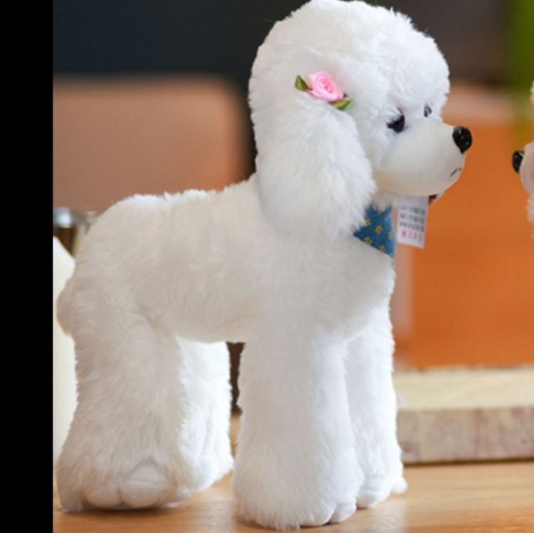 犬 ぬいぐるみ ふわふわもこもこ愛らしいトイプードル座り姿
