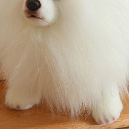 犬 ぬいぐるみ もふもふポメラニアン ぬいぐるみ リアル仕上げ