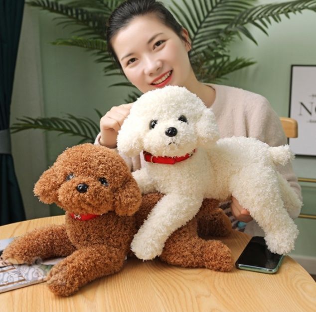 https://fulmo-img-server.com/mohumohudog/1781058644013_9vv3g3iq_lplnmppo.jpeg