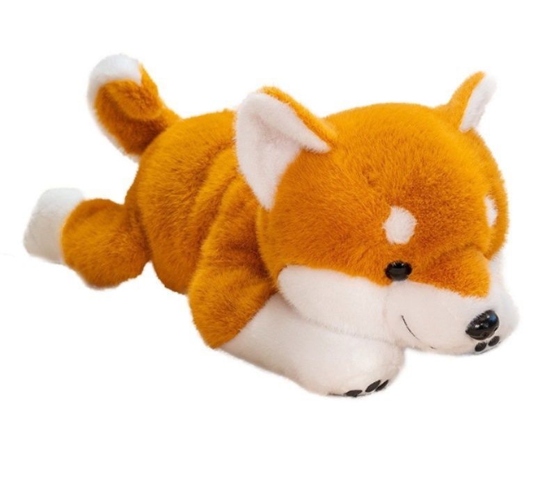 https://fulmo-img-server.com/mohumohudog/1781068703551_86keyocm_zd5nyrz4.jpeg