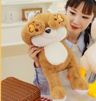 https://fulmo-img-server.com/mohumohudog/1781069172112_y4u69cna_s3p226g3.jpeg
