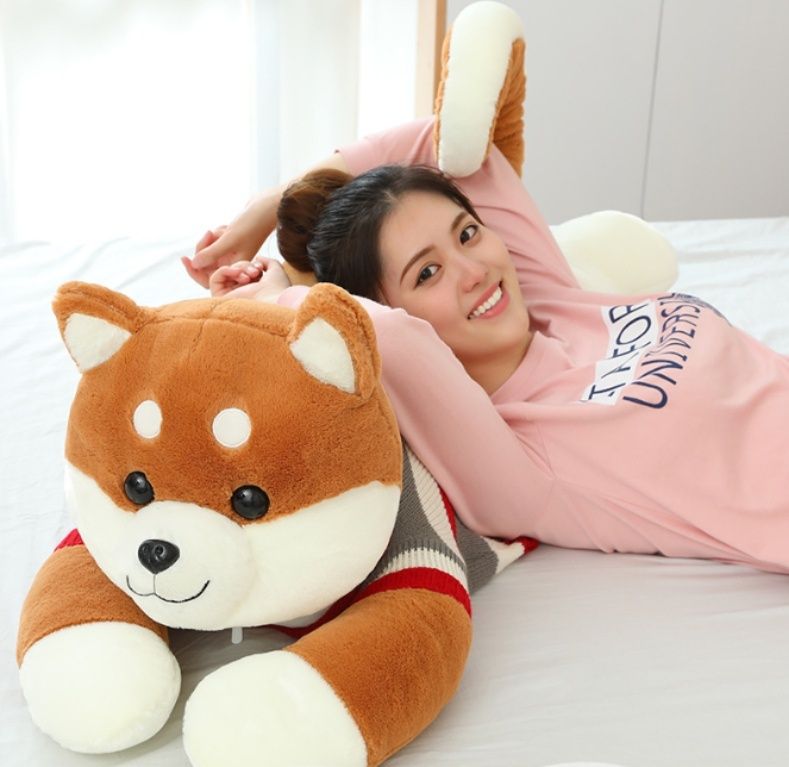 https://fulmo-img-server.com/mohumohudog/1781144835792_mpq6cm59_nfckrtw1.jpeg