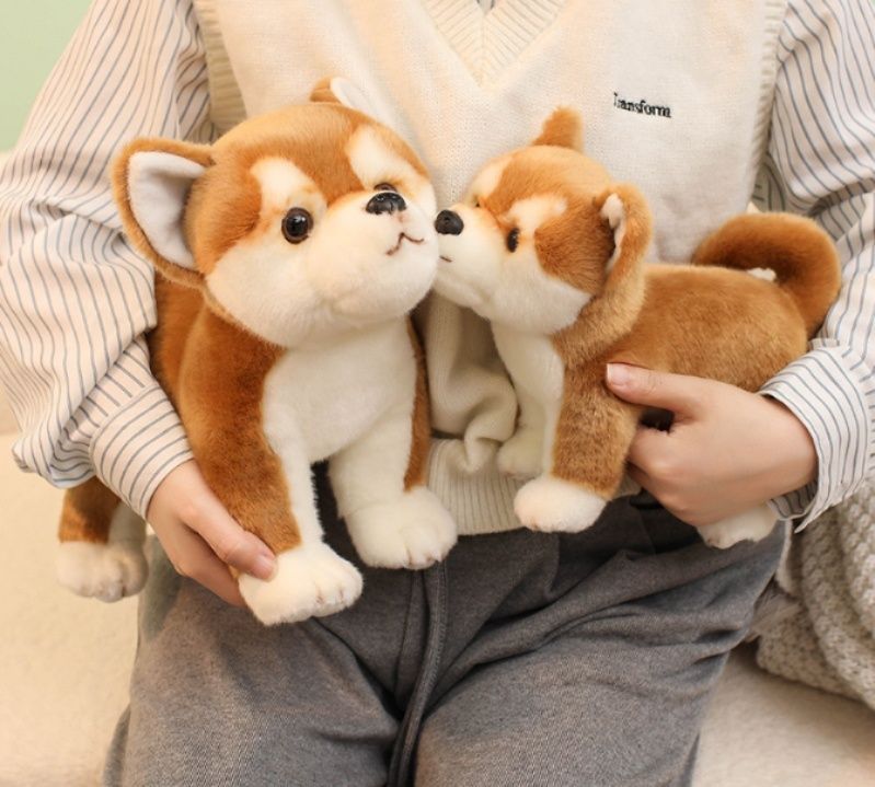 https://fulmo-img-server.com/mohumohudog/1781154354669_wq80igpt_q929qwbv.jpeg