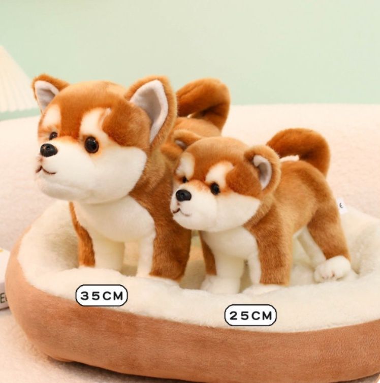 https://fulmo-img-server.com/mohumohudog/1781154409001_b4xf26p9_kyox5a6w.jpeg