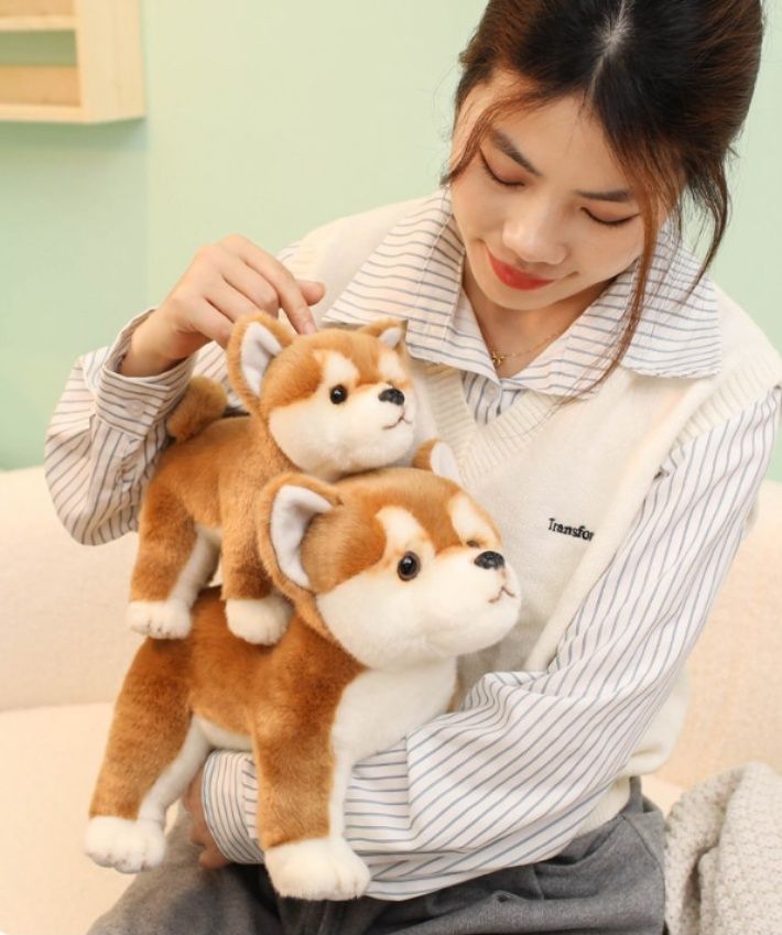 https://fulmo-img-server.com/mohumohudog/1781154428712_tkkyvxyh_2j60aoxy.jpeg