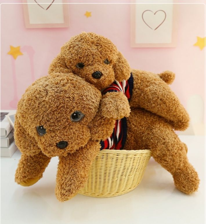 https://fulmo-img-server.com/mohumohudog/1781156936846_t9hilu3d_1c9fyho7.jpeg