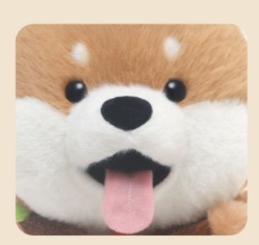 https://fulmo-img-server.com/mohumohudog/1781226624742_39izt3li_2thsth2d.jpeg