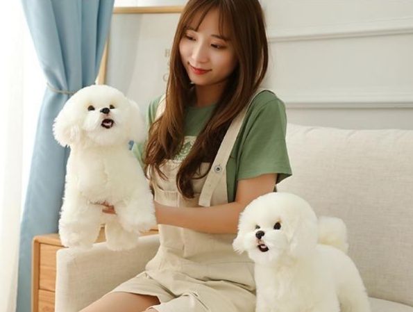 https://fulmo-img-server.com/mohumohudog/1783487672199_xvxsd06y_lhqdsl3z.jpeg