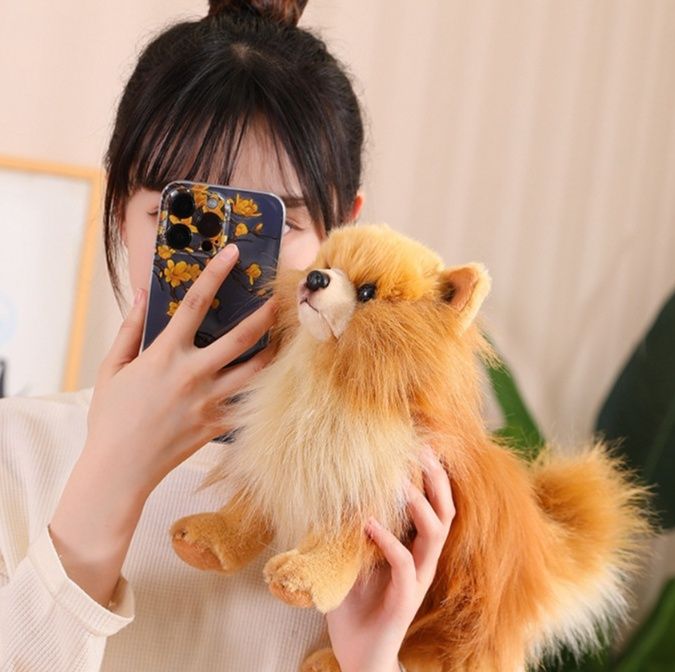 https://fulmo-img-server.com/mohumohudog/1783488709669_nxu4ornh_qjmaagsr.jpeg