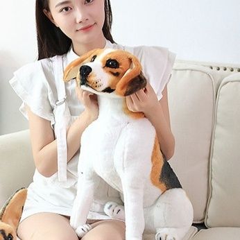 https://fulmo-img-server.com/mohumohudog/1784091078353_c67pnrfi_mq01w9zx.jpeg